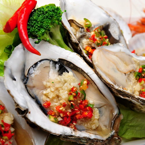 乳山生蠔鮮活一箱生蠔肉海蠣子牡蠣生鮮水產海鮮批發(fā)新鮮燒烤