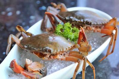 198元龍蝦海鮮拼盤免費送！品味鮮香，暢享海鮮火鍋盛宴